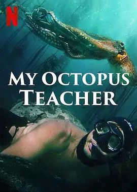 我的章鱼老师(英语)